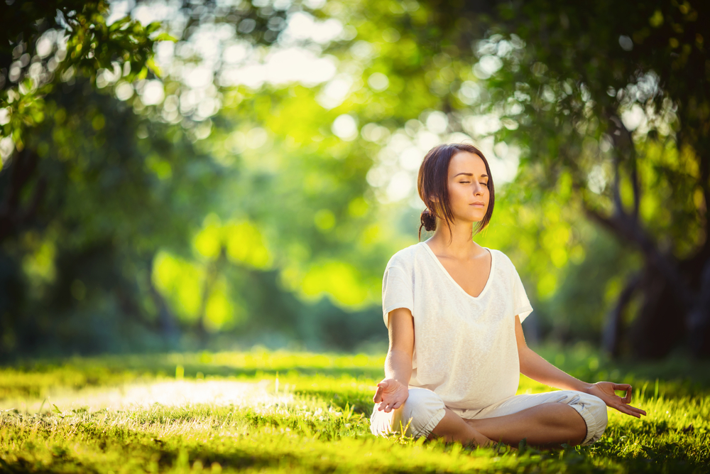 The-historical-roots-of-meditation 15 Differences Between Meditation and Mindfulness