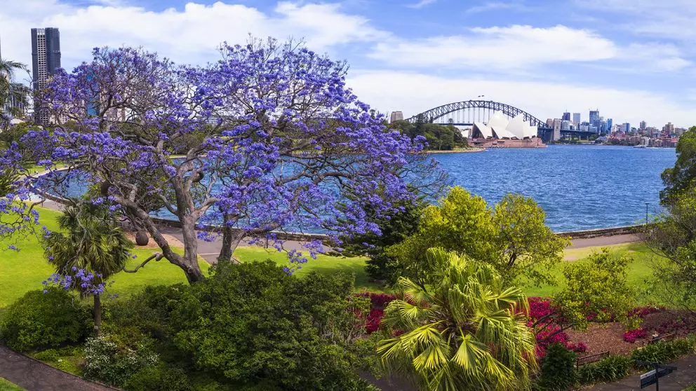 Sydney-Australia-Where-Urban-Meets-Nature 15 Best Cities in the World (2024)