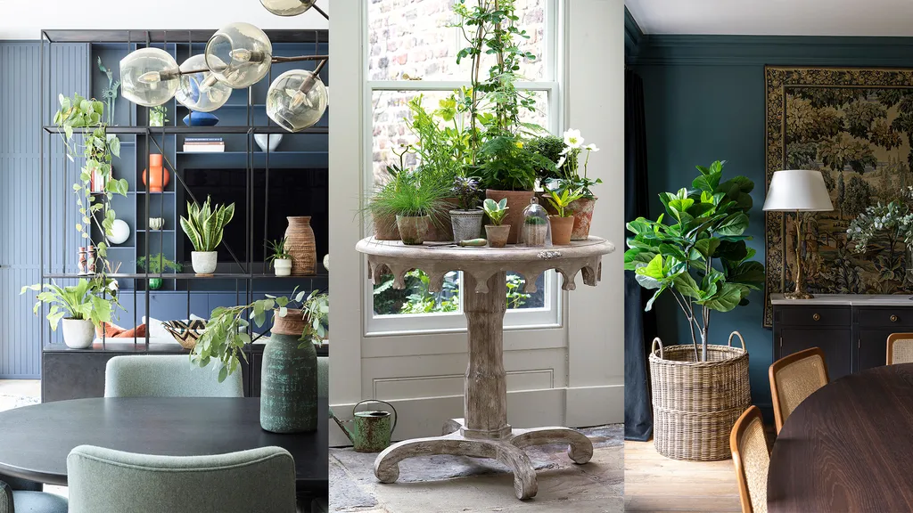Indoor-Plants-and-Greenery 13 Best Farmhouse decor ideas (2024)